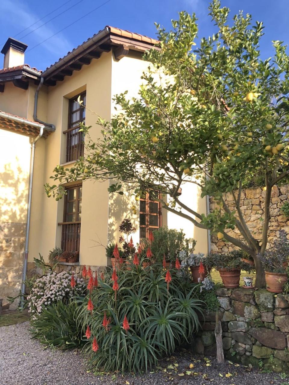 Casa Rural Trebol4Hojas San Pedro  Εξωτερικό φωτογραφία